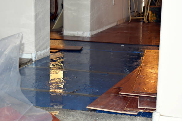 Professional Basement Water Removal technician working in Hancock, WI